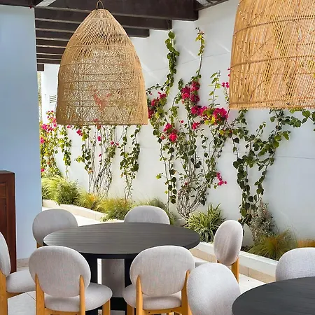 Flamingo 莫哈卡尔