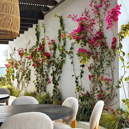 Flamingo * 莫哈卡尔